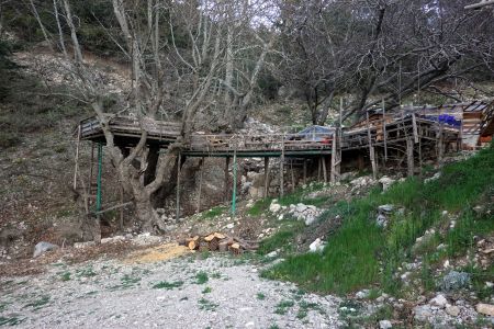 Tady si místní podnikavec postavil tree house.